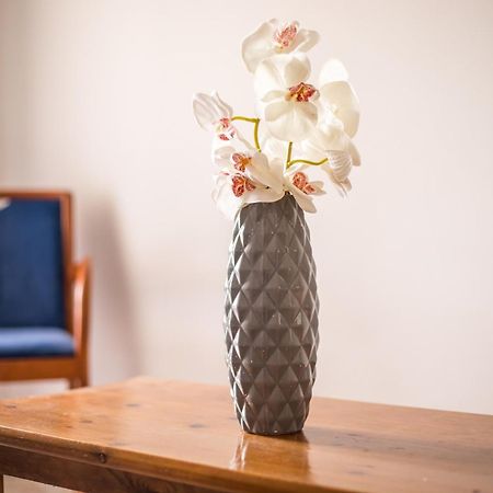 Dimitris Studios & Apartments Фалираки Екстериор снимка